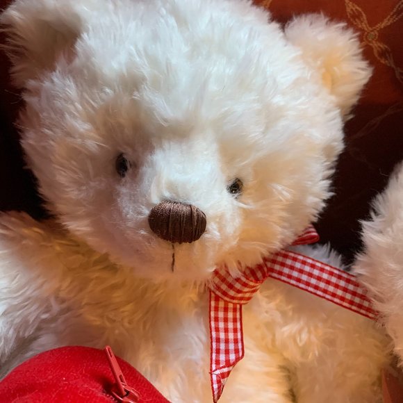 2 Hallmark "From My Heart" White Bear Plush/Heart Gift Zip Bag - Picture 16 of 16